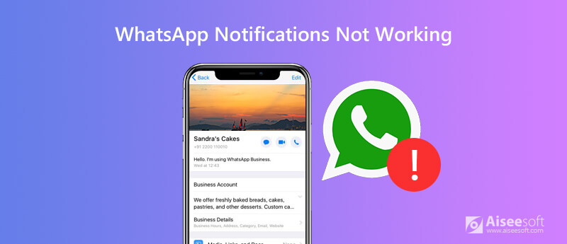 Whatsapp Notification not Working
