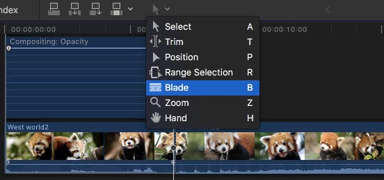 Blade in Final Cut Pro