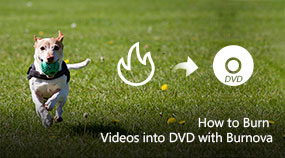 Burn Videos into DVD with Burnova