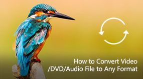 Convert Video/DVD/Audio File