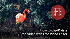 Clip/Rotate/Crop Video with Free Video Editor