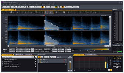 Edizione Acoustica Stardard