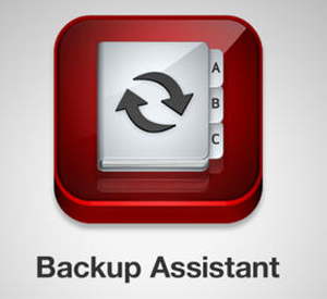 Verizon Back-up-assistent