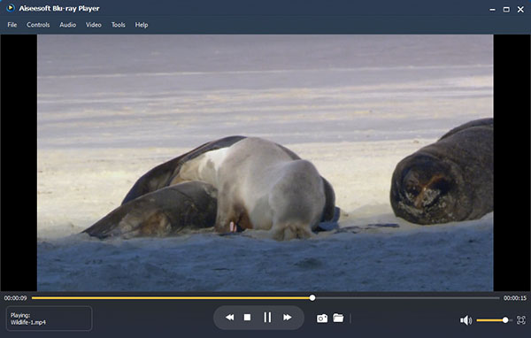 best media player for mp4 files best media player for mp4 files