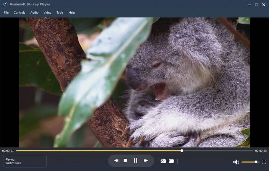 No.1) 4K Video Player For Windows 10 