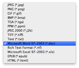 Output Format