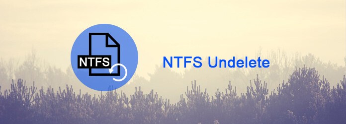 NTFS下反删除工具