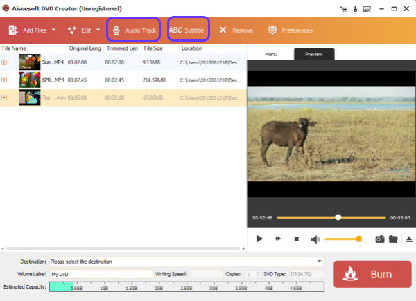 Preview and Video Burning