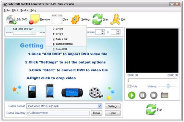 FLV Converter sevimli DVD