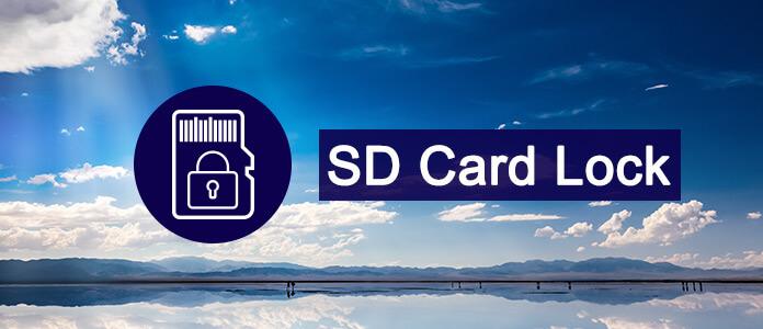 SD Card Lock