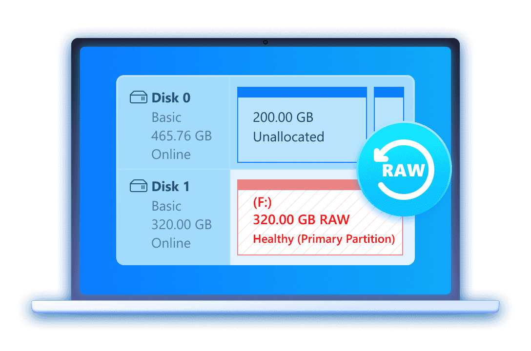 RAW Partition Recovery