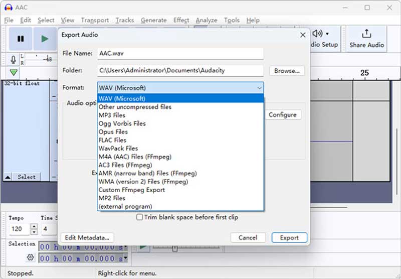 Audacity Choose Format