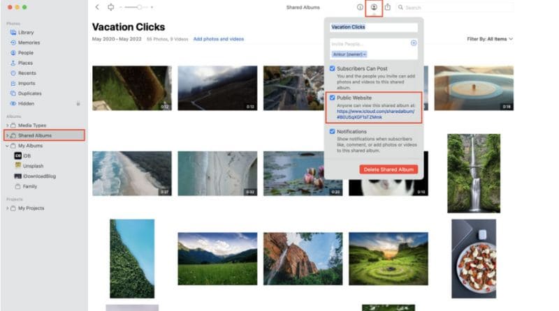 Shared Albums On Browser