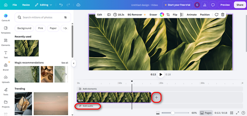 Add Audio to Picture Canva