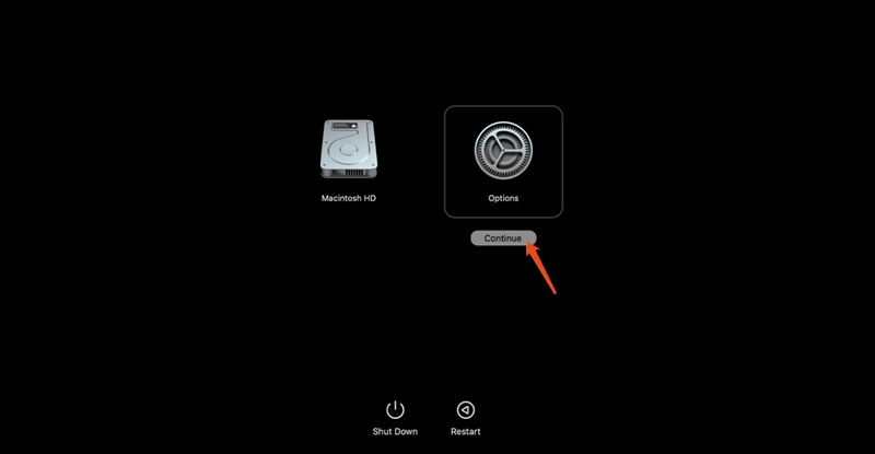 Mac Recovery Mode Options Apple Silicon