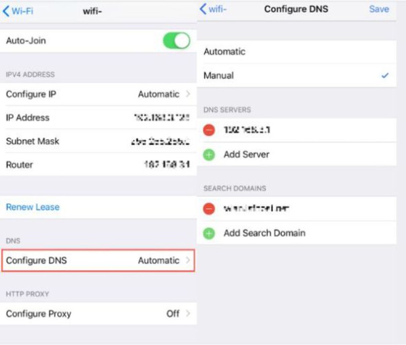 Select Manual Dns