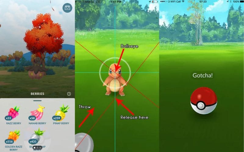 Catch The Pokemon