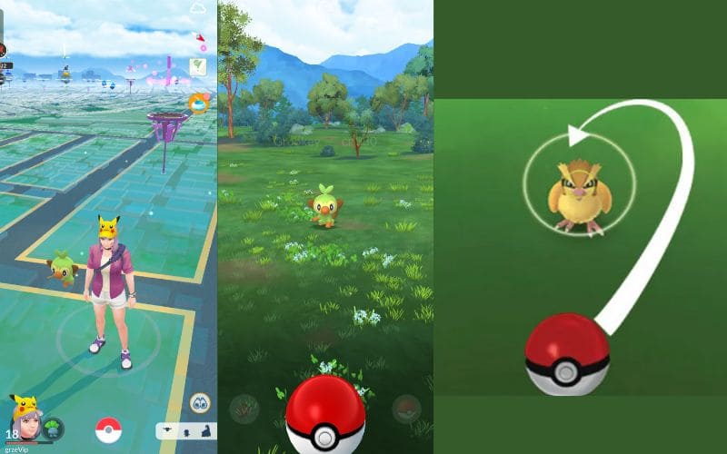 Find A Pokemon