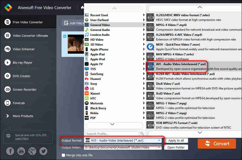 Choose AVI Output Format