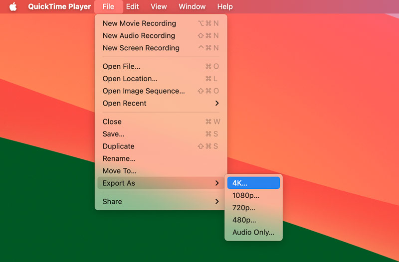 QuickTime Export As