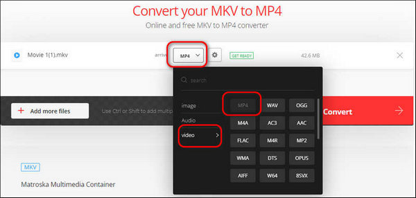 Choose MP4 Format