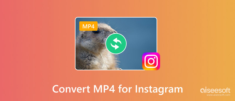 Convert MP4 For Instagram