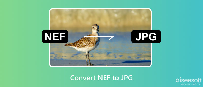Konvertera NEF till JPG