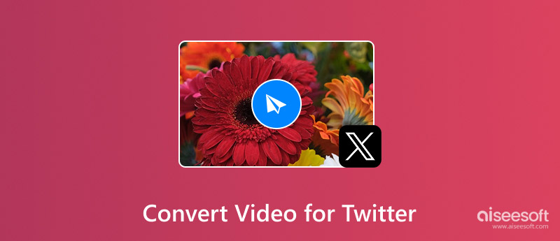 Convert Video For Twitter