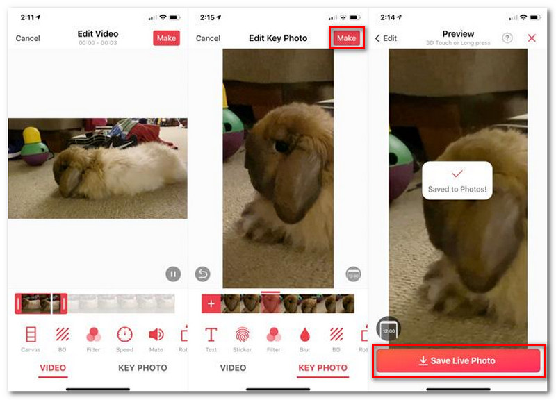 Convert Video To Live Photo intoLive
