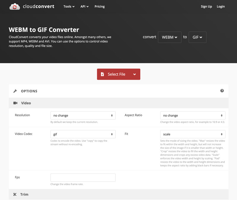 Konwerter CloudConvert WebM na GIF online