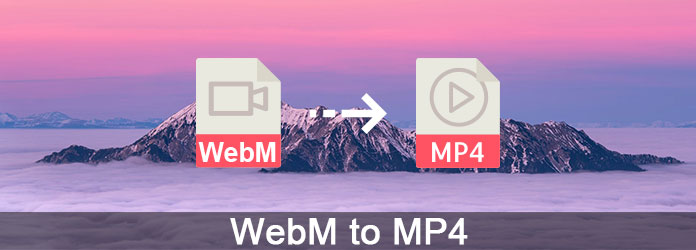 MP4 için WebM