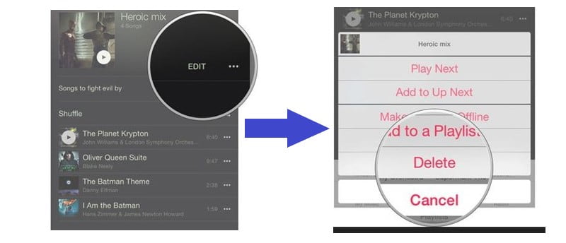 Delete Playlist from iPhone Directly