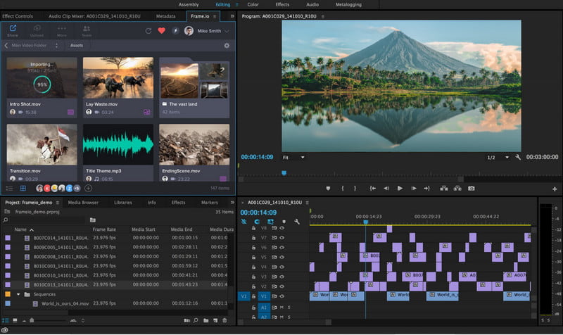 Adobe Premiere Pro中