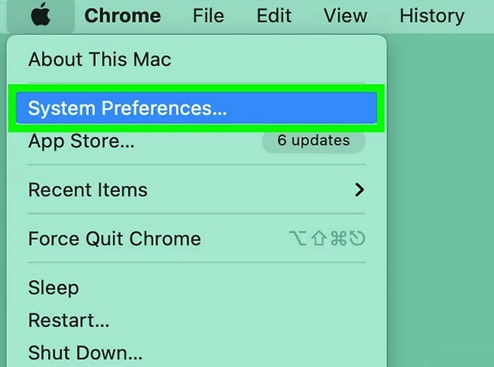 Choose System Preferences