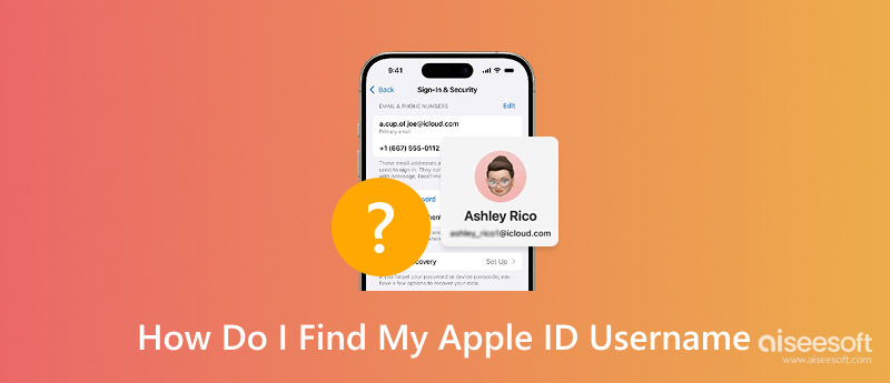 Find My Apple Id Username
