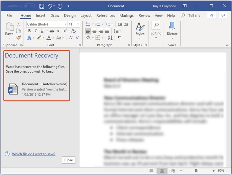 Word Document Recovery Version