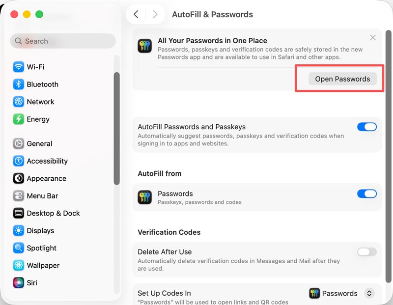 Open Passwords App On Mac