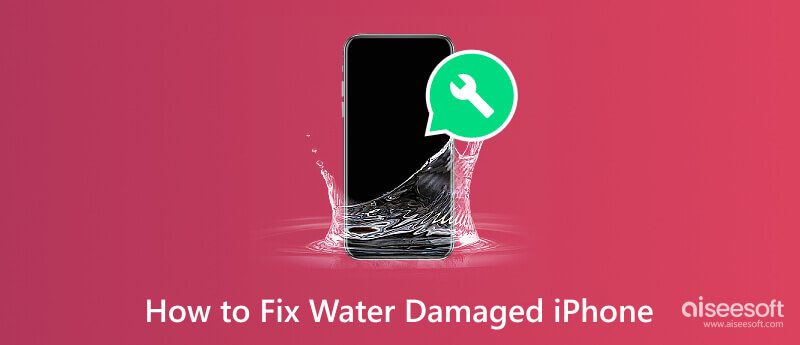 Fix Water Damaged iPhone