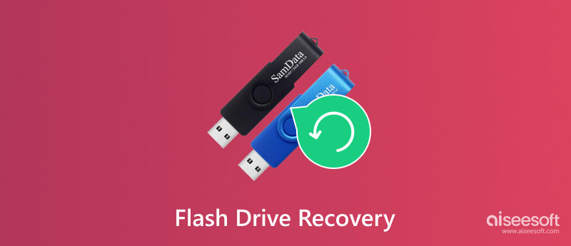 Flash Drive Recovery