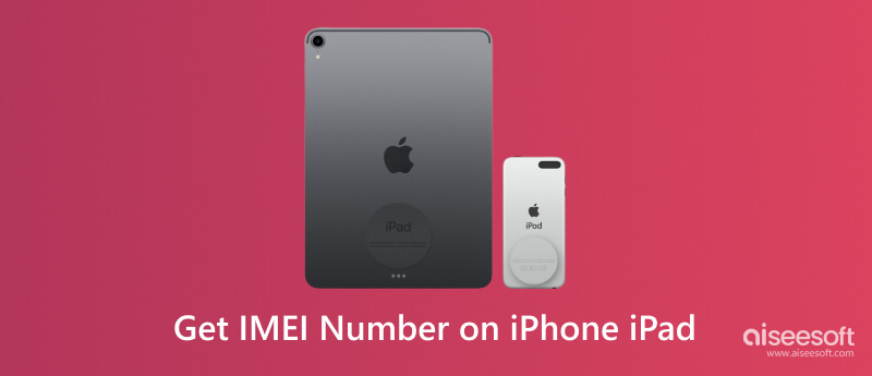 在 iPhone iPad 上獲取 IMEI 號碼