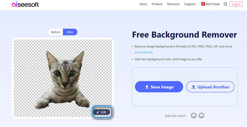 Aiseesoft Online Bg Remover Preview The Results