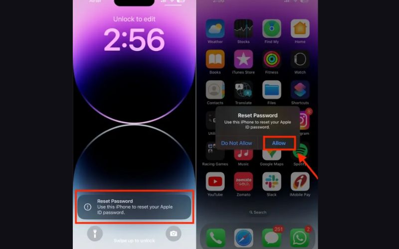 Allow Reset Password
