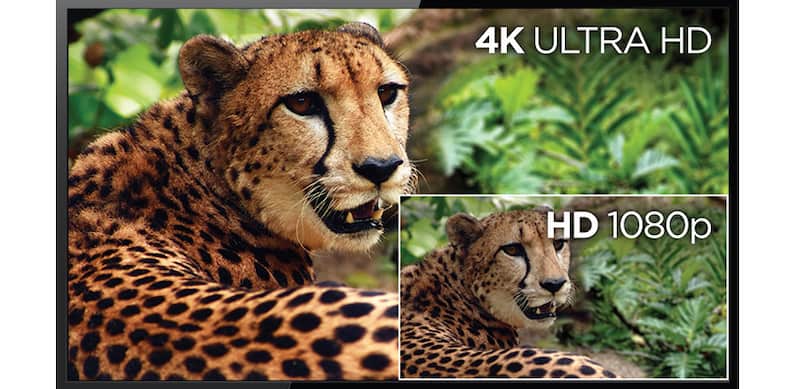 4K 대 HD