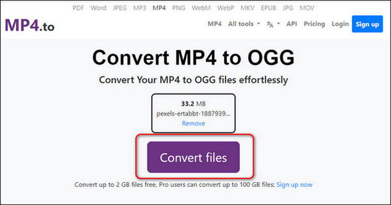 Convert Files
