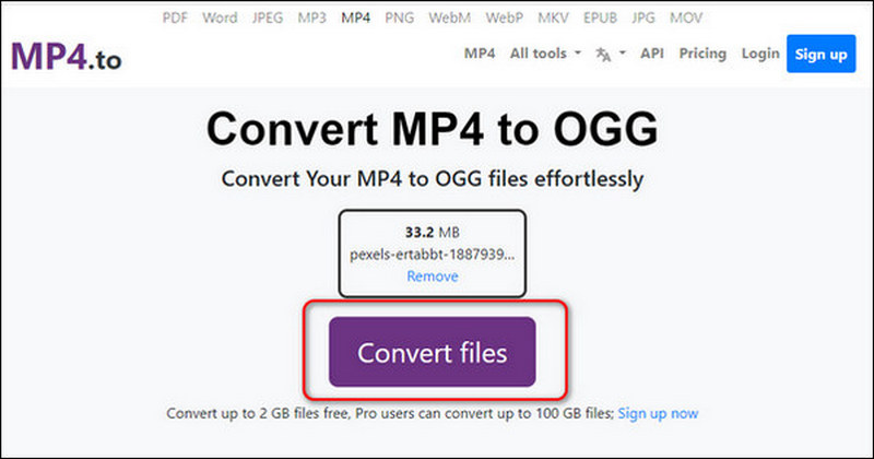 Convert Files