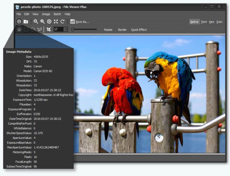 Universal file viewer software