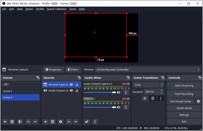Record Audio OBS Display And Sources