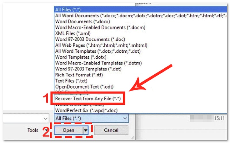 Choose Recover Text From Any File