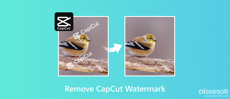 Удалить водяной знак CapCut