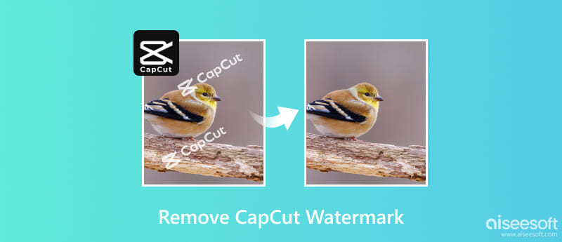 Fjern CapCut Watermark